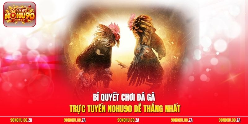 Bí quyết chơi đá gà trực tuyến Nohu90 dễ thắng nhất