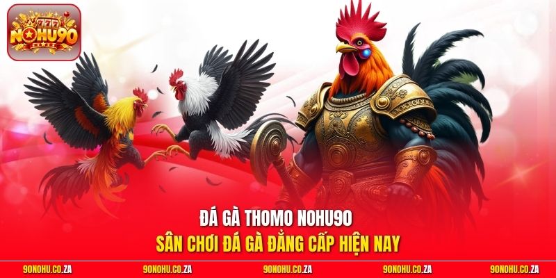 Đá gà Thomo Nohu90 -  Sân Chơi Đá Gà Đẳng Cấp Hiện Nay
