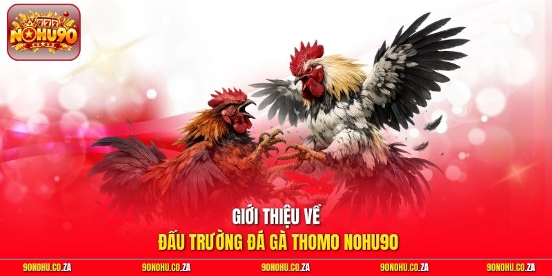 Giới thiệu về đấu trường đá gà Thomo Nohu90