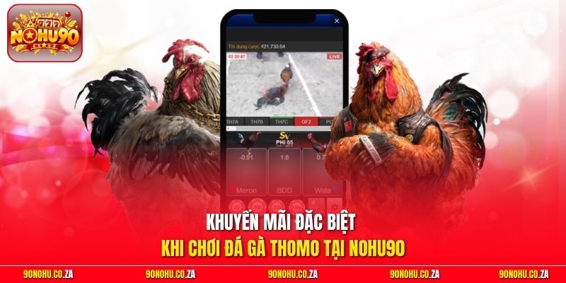 Khuyến mãi đặc biệt khi chơi Đá Gà Thomo tại Nohu90