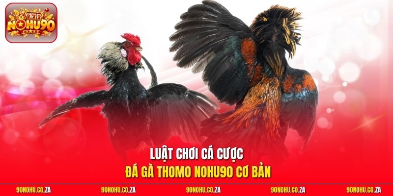 Luật chơi cá cược đá gà Thomo Nohu90 cơ bản