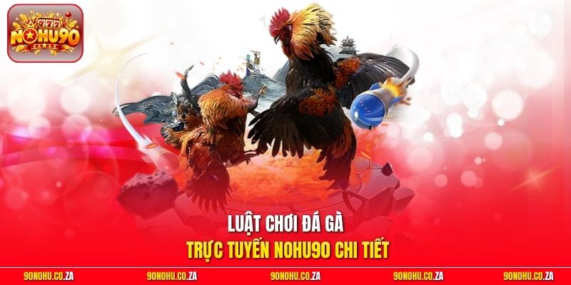 Luật chơi đá gà trực tuyến Nohu90 chi tiết
