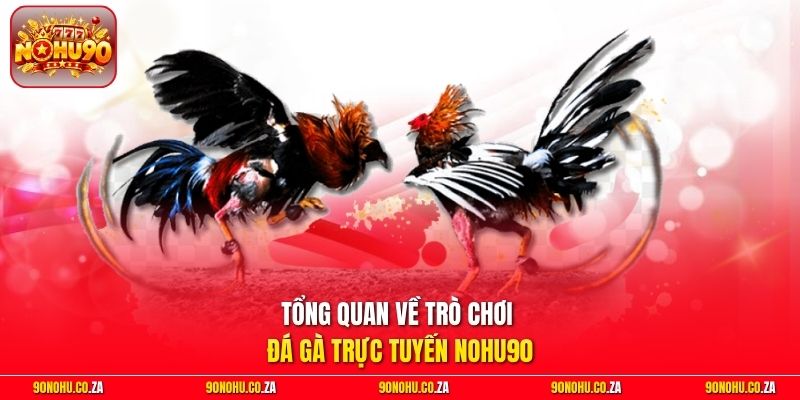 Tổng quan về trò chơi đá gà trực tuyến Nohu90