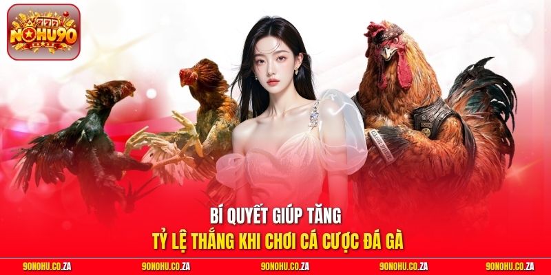 Bí quyết giúp tăng tỷ lệ thắng khi chơi cá cược đá gà