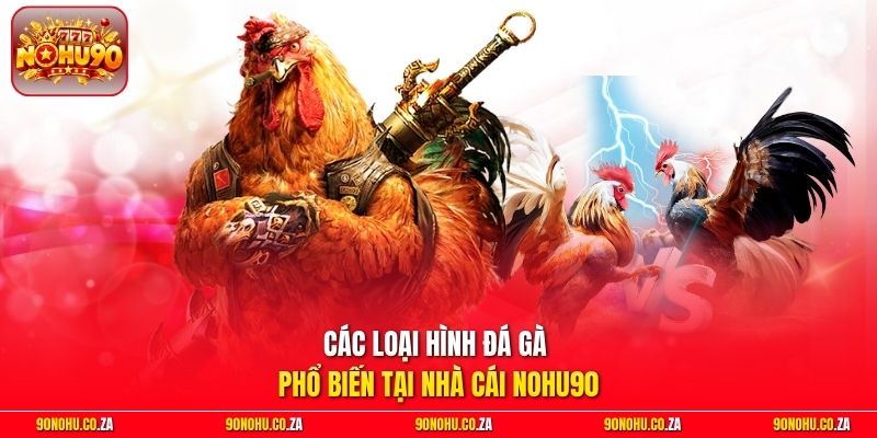 Các loại hình đá gà phổ biến tại nhà cái Nohu90