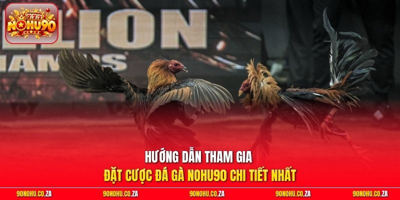 Hướng dẫn tham gia đặt cược đá gà Nohu90 chi tiết nhất